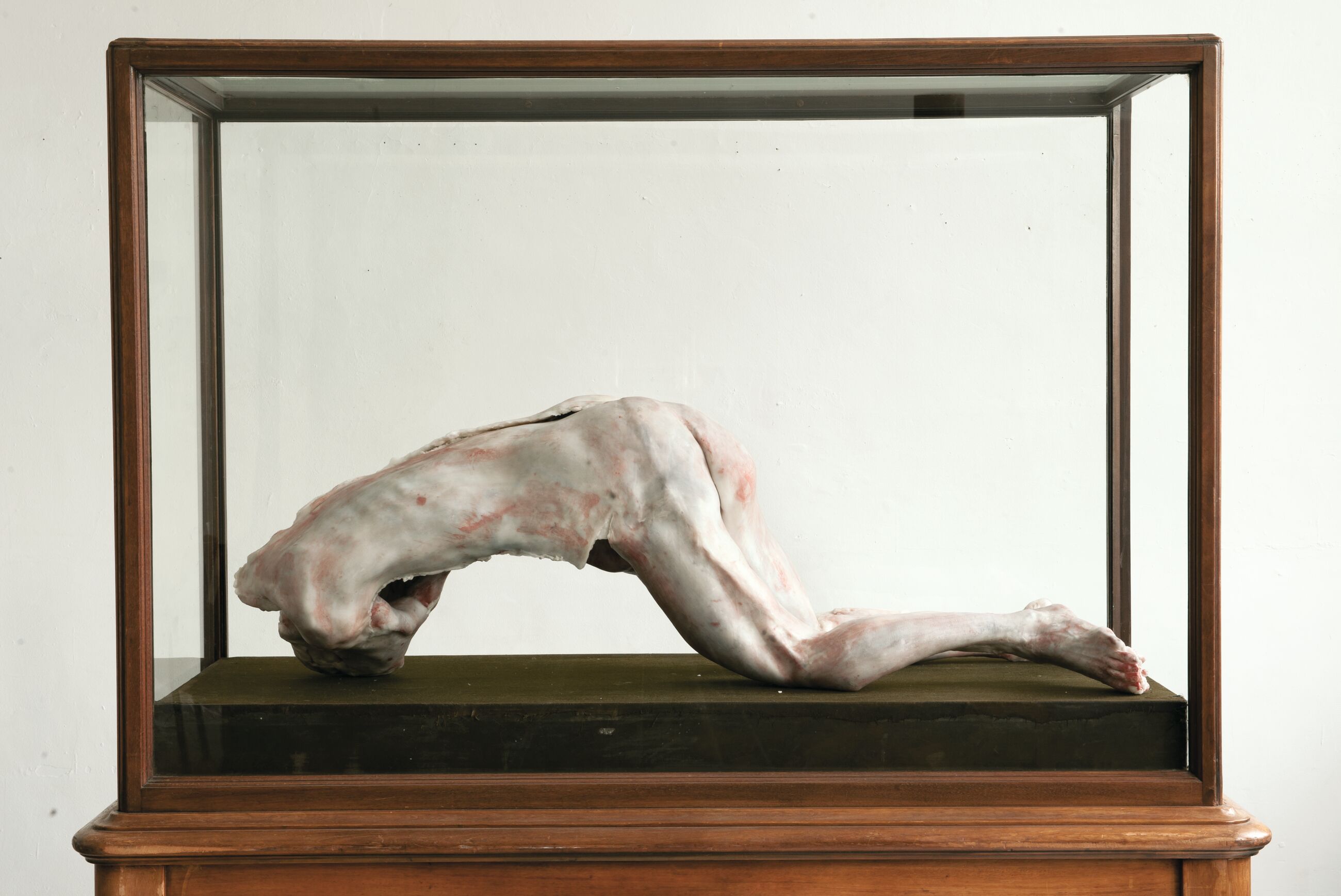 Berlinde De Bruyckere - Into One-Another To P.P.P. - Hauser